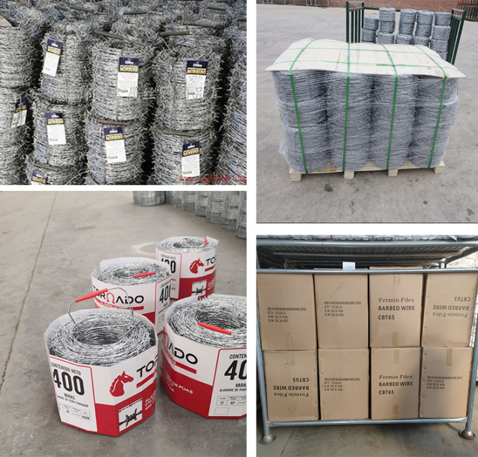 الأسعار المنخفضة كونسيرتينا حار غطس غالوانيزد حلاقة الأسلاك الشائكة 3