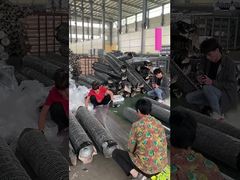 شبكة سلكية معدنية خضراء 20 Ga حديدية الزخرفية شبكة سلكية هكساجونال ملفوفة بالبي.في.سي