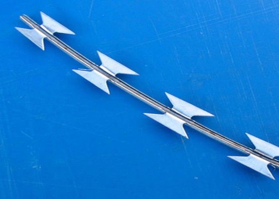 PVC المغلفة الأمن شبكة أسلاك شائكة سياج كونسرتينا الأسلاك الشائكة