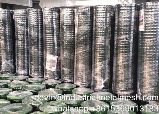 الحديد المغمور بالفولاذ المقاوم للصدأ / الأسلاك السوداء