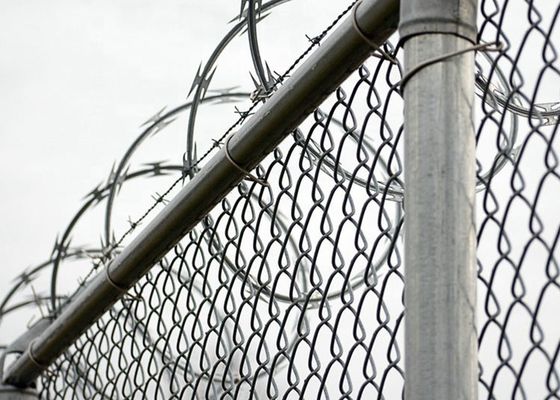 الأسعار المنخفضة كونسيرتينا حار غطس غالوانيزد حلاقة الأسلاك الشائكة