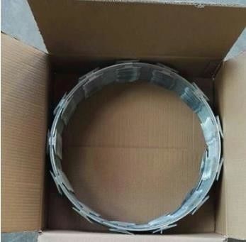 Cbt-65 الفولاذ المقاوم للصدأ الفولاذ المقاوم للصدأ PVC مغلفة الأمن حلاقة سلك الشبكة