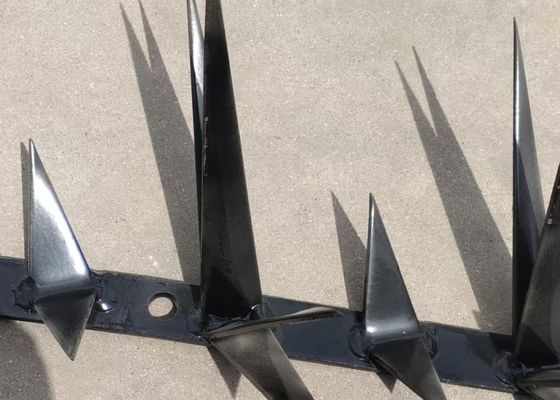 1 متر طول كبير الحجم SGS الساخنة انخفض المجلفن مكافحة تسلق الجدار سبايك للأمن