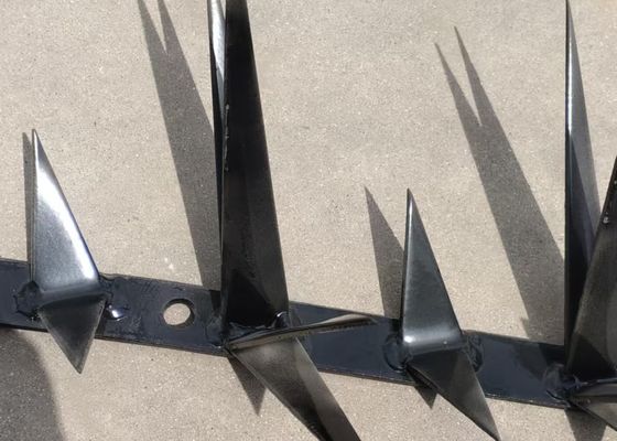 حاجز مضاد للتسلق حاجز أمن حائط أشرطة حلاقة واحدة نوع مع المعالجة السطحية مغلفة / مسحوق مغلفة