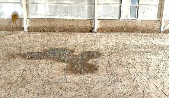 عقبات فولاذية غير واضحة (بوتانكا) مع محيط 10 أمتار