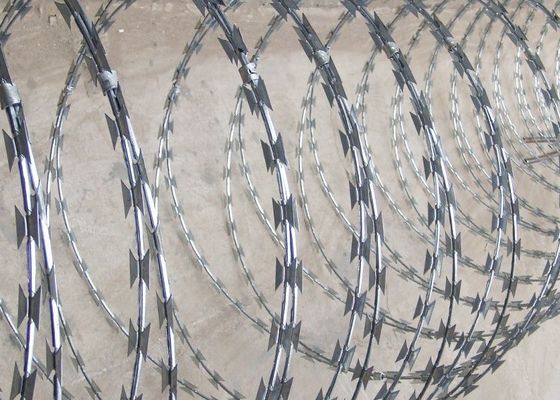 2.5 مم Cbt-60 أسلاك شائكة كونسرتينا الفولاذ المقاوم للصدأ