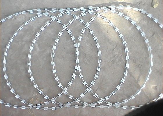 2.5 مم Cbt-60 أسلاك شائكة كونسرتينا الفولاذ المقاوم للصدأ