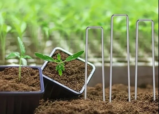 شبكة الحشرات تثبيت العشب العضوي تثبيت العقود اللاصقة SOD المسامير الحديقة الفولاذ المغلف