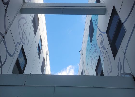 الدرابزين المضادة للتآكل الفولاذ المقاوم للصدأ 316 سلك حبل شبكة للحماية والسلامة