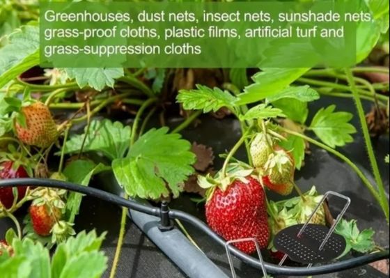 الغطس الساخن الغلفاني من نوع U العشب الحديقة العشب العشب العضوي العشب العضوي المسمار 9 مقياس قطر الأسلاك