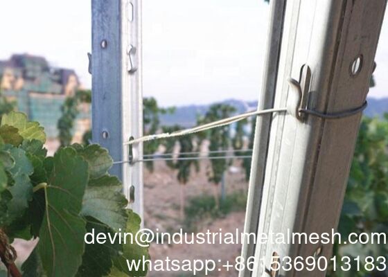 2.0-2.8m Cheap Galvanized Grape Post Steel Metal Vineyard Trellis Post