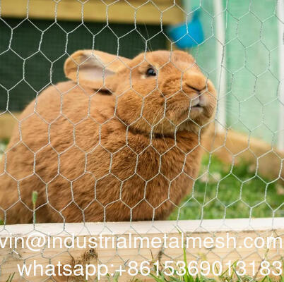 4 بوصة فتح شبكة سلكية هكساجونال تستخدم لسور الحديقة