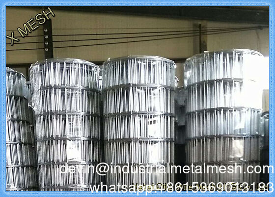 ASTM 1/8-4 بوصة الغالبية المغطاة بالبي.في.سي الفولاذ المقاوم للصدأ الحديدية سلك الشبكة
