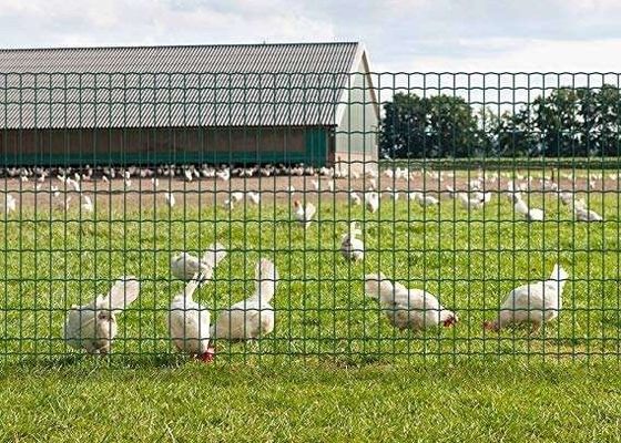 6 مم ملحومة شبكة أسلاك الفولاذ المقوى للبلاطات الخرسانية