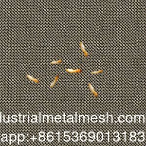 شبكة سلكية من الفولاذ المقاوم للصدأ AISI 304 316 316L مقاومة للنمل الأبيض